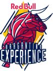 red bull bragantino experience