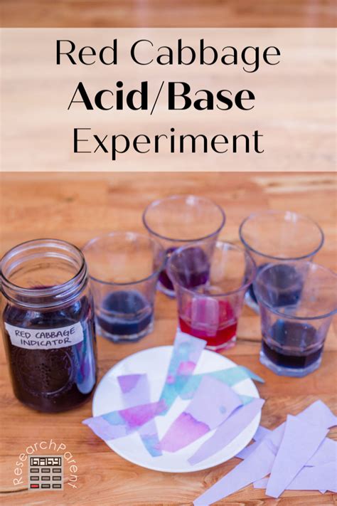 Red Cabbage Acid And Base Experiment