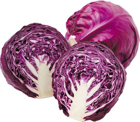 Red Cabbage Definition