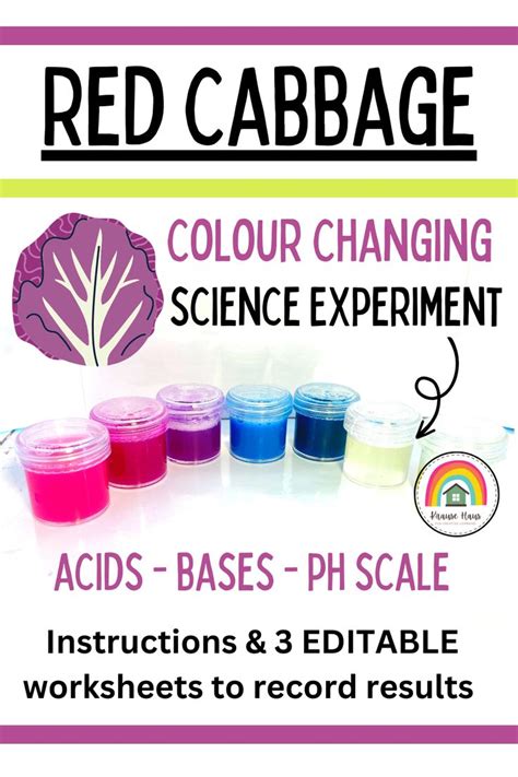 Red Cabbage Experiment Printable