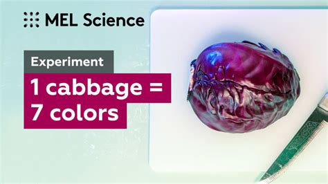 Red Cabbage Indicator Experiment Aim