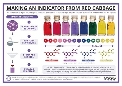 Red Cabbage Indicator Experiment Method