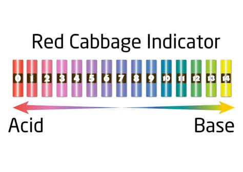 Red Cabbage Juice Indicator Scale