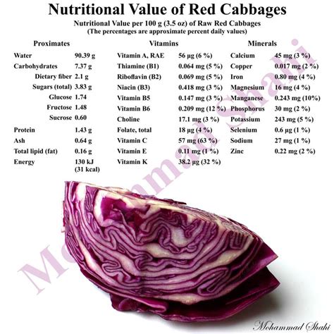 Red Cabbage Nutrition Value