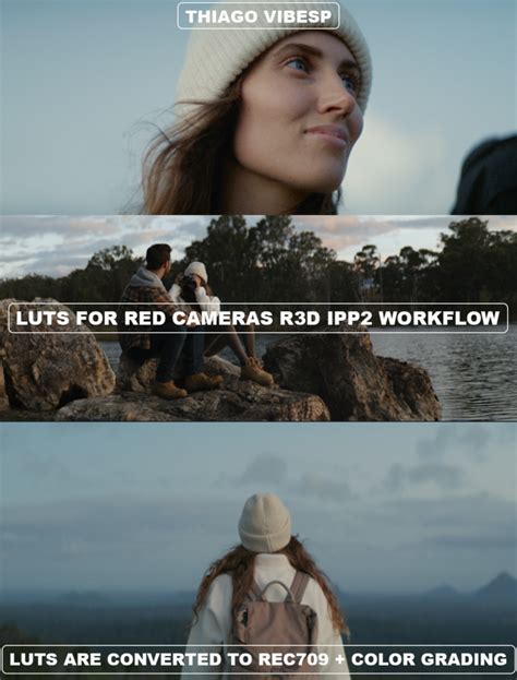 red creative lut kit