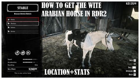 Red Dead Horse Stats Explained