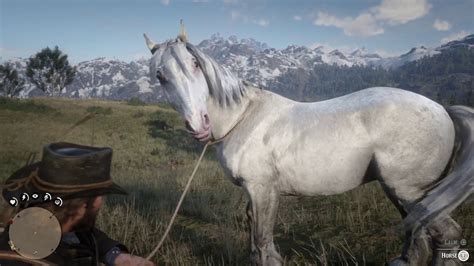 red dead redemption 2 how to catch a horse