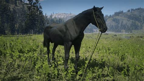 red dead redemption horse breeds