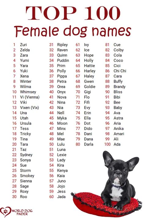 red dog names for females