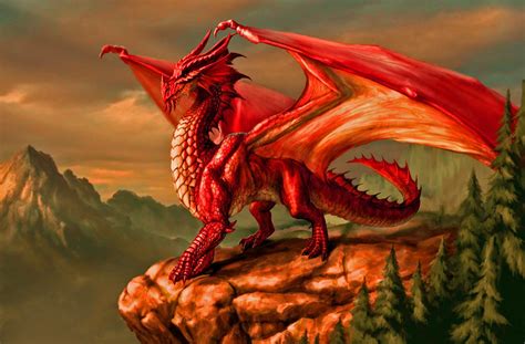 red dragon