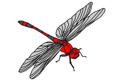 red dragonfly drawing
