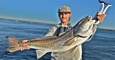Red Drum Fish Size Limit Nc