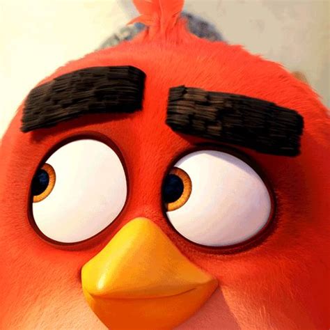 Red Eyebrows Angry Birds