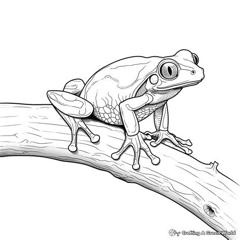 Red Eyed Tree Frog Printable