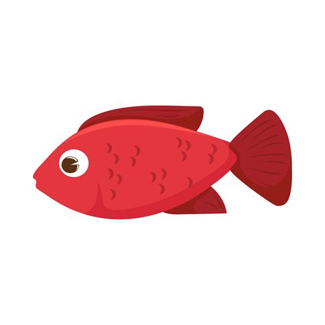Red Fish Clipart
