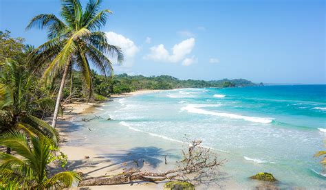 red frog beach panama