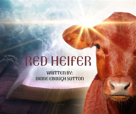 red heifer passover 2024