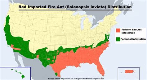 red imported fire ant distribution map