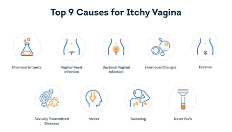Understanding and Soothing a Red Itchy Vulva Naturally