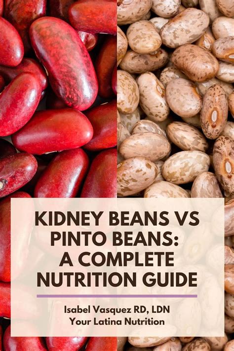 Red Kidney Beans And Pinto Beans Difference