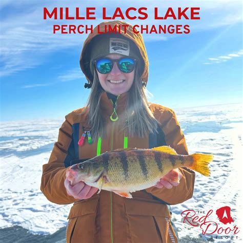 Red Lake Perch Limit