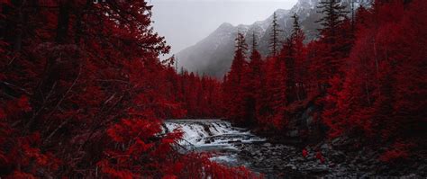 Red Landscapes