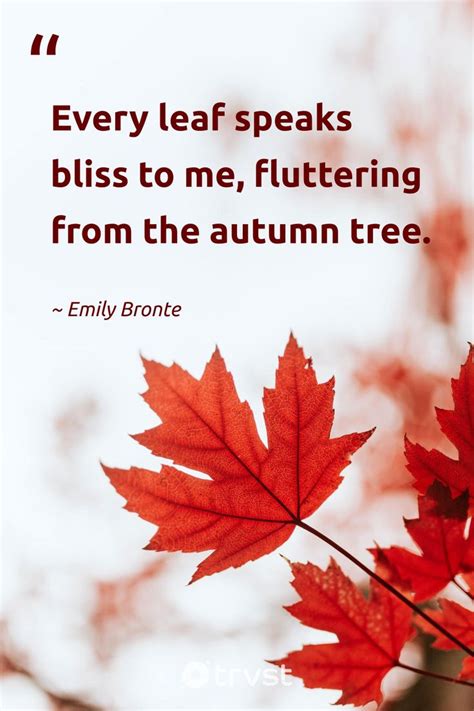 Red Leaf Quotes