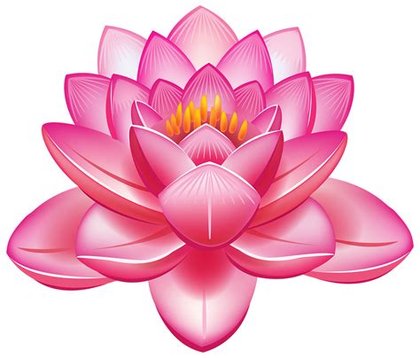 red lotus blossom png