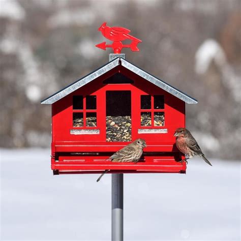 red metal bird feeder