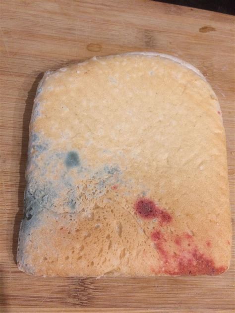 red mold on bread