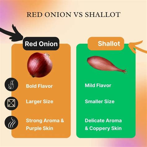 Red Onion Same As Shallot