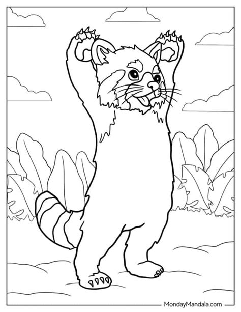 Red Panda Human Coloring Pages