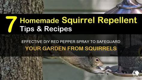 Red Pepper Spray For Squirrels