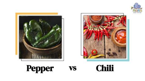 red pepper vs chili pepper