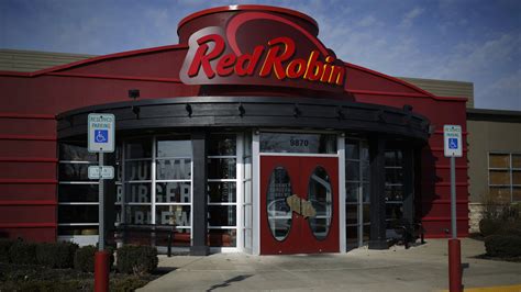 red robin payroll phone number