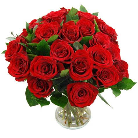 Red Roses For Delivery