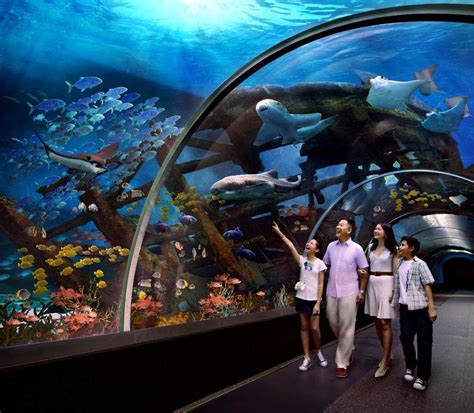 red sea aquarium singapore