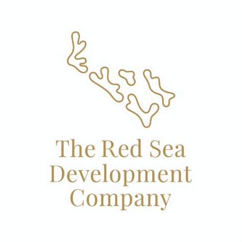 red sea development company linkedin