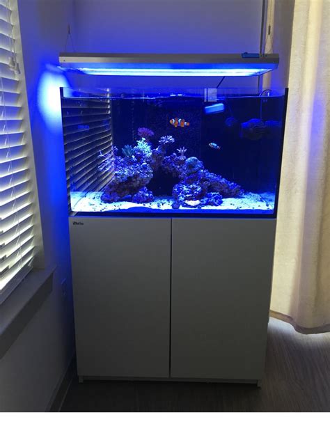 red sea reefer 250 dimensions