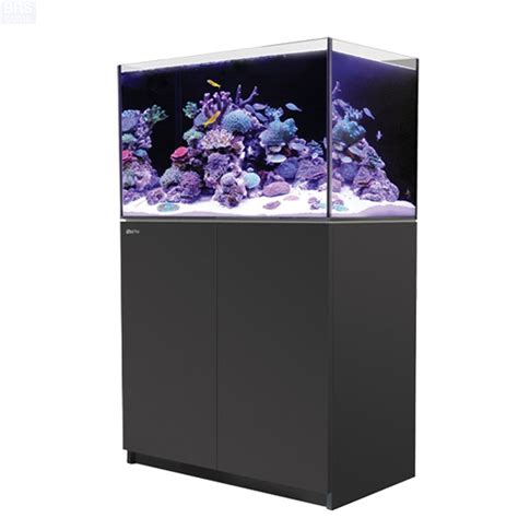 red sea reefer 250 g2+