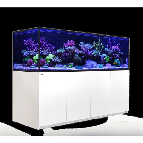 red sea reefer s 1000 g2