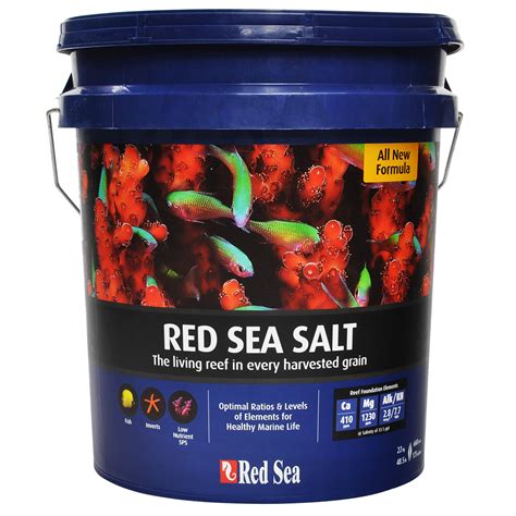 red sea salt water