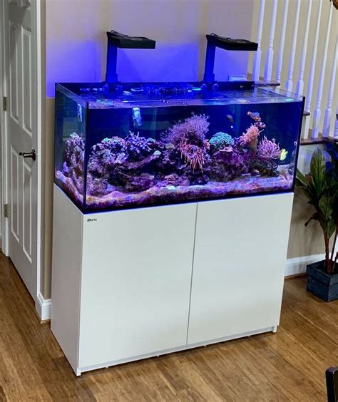 red sea tanks for sale