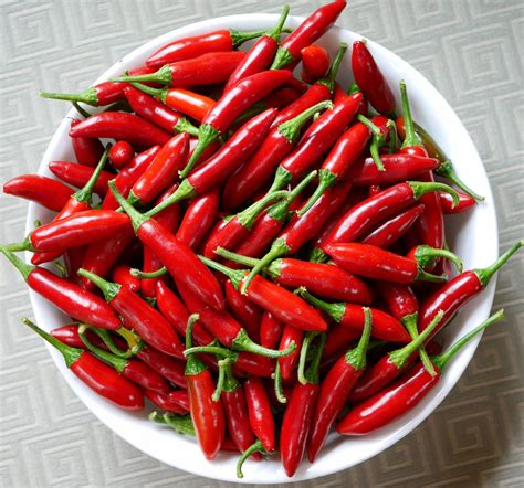 red serrano pepper 15