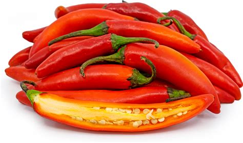 red serrano pepper 8