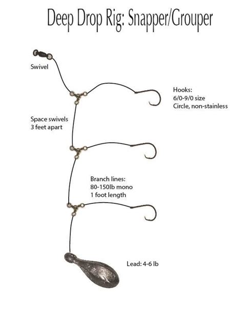 red snapper rigs for deep drop