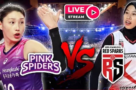 red sparks vs pink spiders hari ini