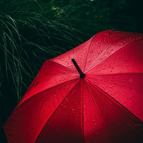 Red Umbrella Background
