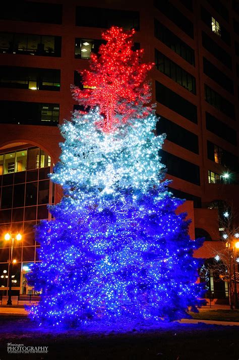 red white blue christmas tree lights