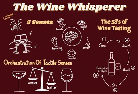 Red Wine Affects The Brain